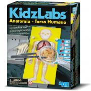 Kidz Labs Anatomia – Torso Humano