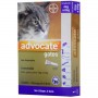 Antipulgas Advocate para Gatos de 4 a 8kg (0,8ml) - Bayer