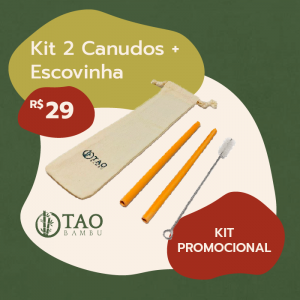 Kit 2 Canudos + Escovinha