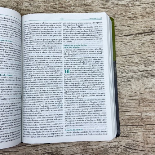 A Bíblia do Pregador - Grande - Verde e Preta - RA