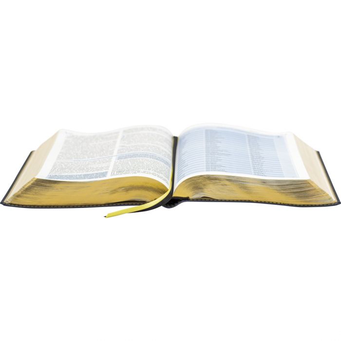 Bíblia de Estudo Almeida Edição Ampliada