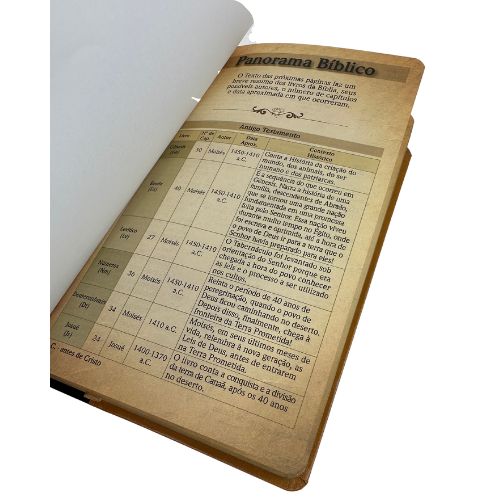 Bíblia NVT Letra Grande Capa Luxo Duotone - Palavras de Jesus em Vermelho
