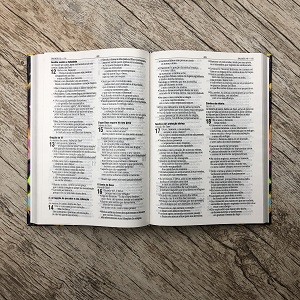 Bíblia Sagrada - Leão - Estrala da Manhã - Capa Dura - NAA 