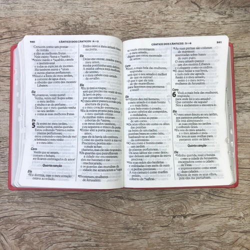 Bíblia Sagrada Letra Extragigante - Ntlh - Rosa