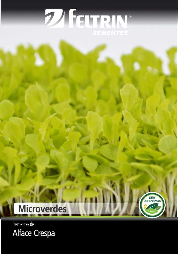 Microverde de Alface Crespa - contém 700 miligrama(s) de semente(s)