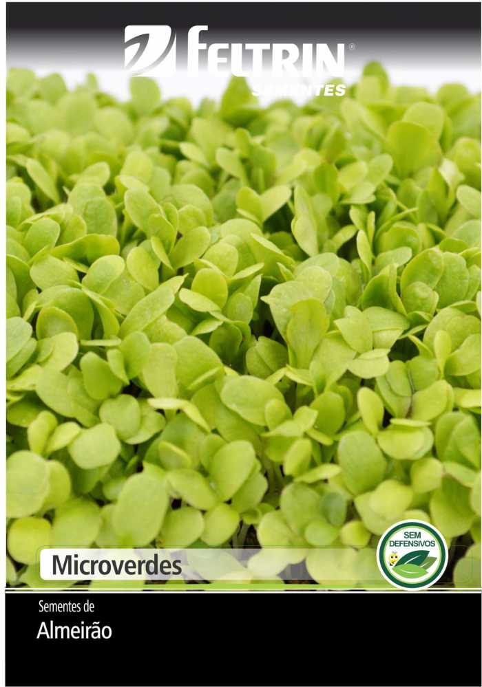 Microverde de Almeirão - contém 700 miligrama(s) de semente(s)