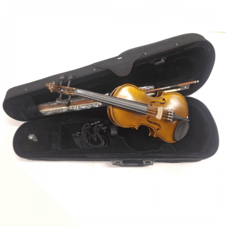 Violino Pearl River MV006 