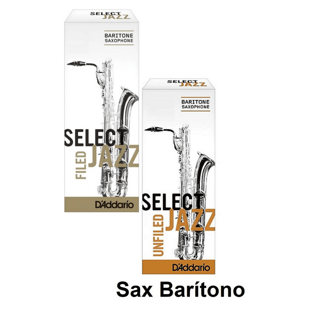 Palheta Rico D'addario Select Jazz Sax Barítono