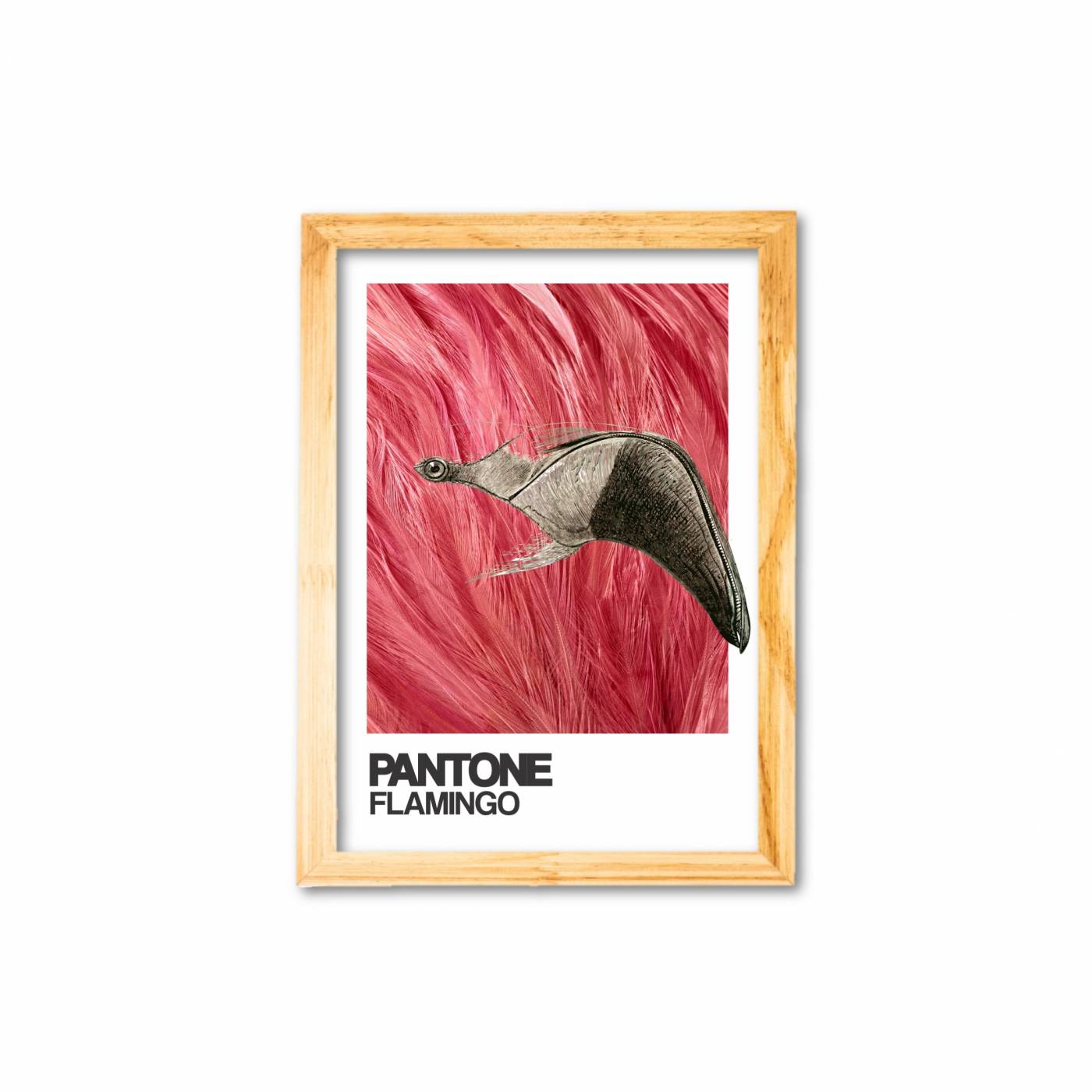 Pantone flamingo