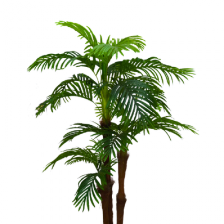 Palmeira Areca Toque Real no Pote 1,60mts