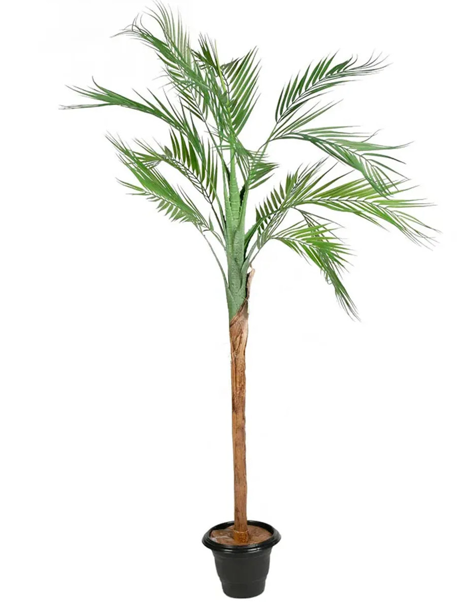 Palmeira Areca Toque Real Natural X15 1,4mts