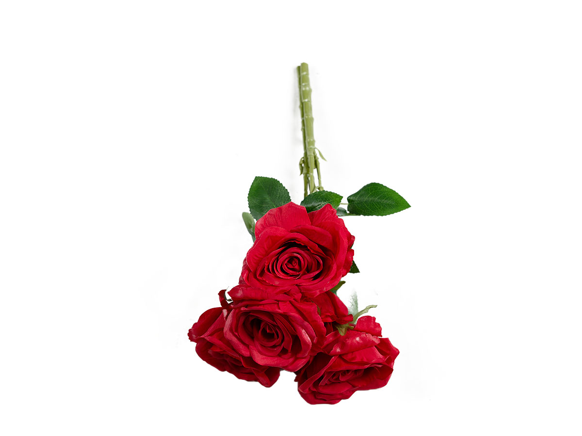 Rosas X7 Vermelha 30cm
