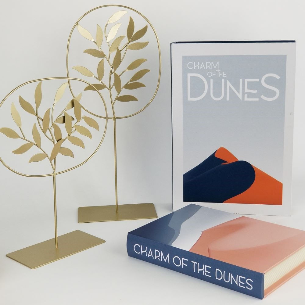 Kit Duas Caixas / Livros Decorativos - Dunas
