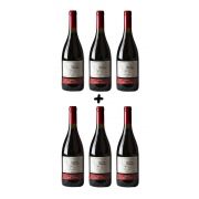 Leve 6, pague 5 - Combo vinhos tintos Pinot Noir