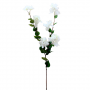 Flor Artificial Galho Longo De Bougainvillea Ou Buganvília Branca Com 96 Cm De Altura Produto Premium