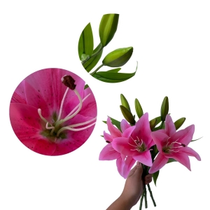 Flor Artificial Lírio em Silicone 38cm Toque Real Para Decoração Cor Pink