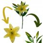 Flor Artificial Lírio em Silicone 38 cm Toque Real Para Decoração Cor Amarelo