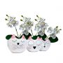 Flor Artificial Mini Orquídeas Artificiais 18 cm Para Decoração e Mini Arranjos em Tecido Branca