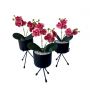 Flor Artificial Mini Orquídeas Artificiais 18 cm Para Decoração e Mini Arranjos em Tecido Rosa