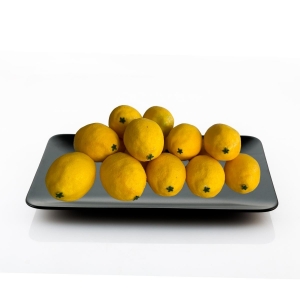 Fruta Artificial Limão Siciliano De Alta Qualidade E Realismo Para Festas