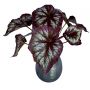Planta Artificial Buquê Folhagem de Begônia 26 cm em Silicone na cor Vinho