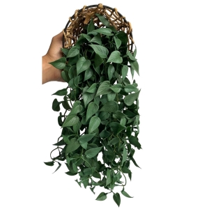 Planta artificial Pendente de Folhas artificiais Verde Premium Toque Real 60cm