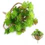 Suculenta Artificial Araucária Verde 13 cm em Silicone Para Jardim de Plantinhas ou Terrário Artificial