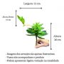 Suculenta Artificial Echeveria Verde 20 cm com Broto Planta em Silicone Verde