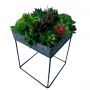 Suculenta Artificial Kit de 5 Mini Plantas Delicadas Realistas Para Decoração em Jardim de Suculentas