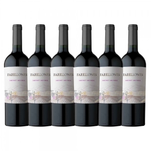 Caixa com 6 garrafas - Vinho Farellones Cabernet Sauvignon 2020