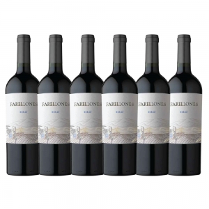 Caixa com 6 garrafas - Vinho Farellones Merlot 2020