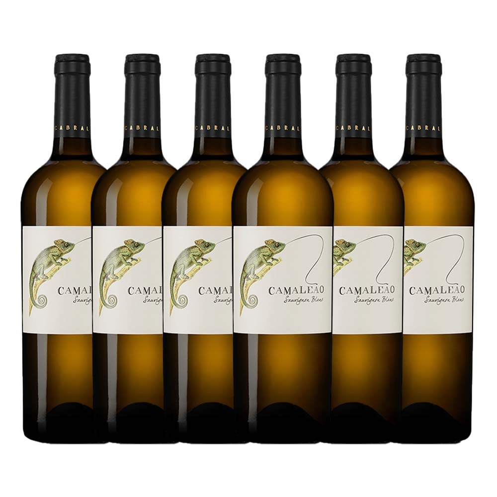 Caixa com 6 garrafas - Vinho Camaleão Sauvignon Blanc
