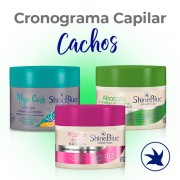 Cronograma Capilar - Cachos