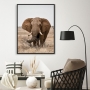 Quadro Decorativo com Fotografia de  Elefante