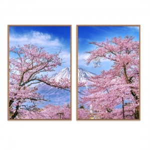 Composição com 2 Quadros Flor de Cerejeira e Monte Fuji