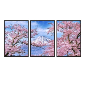 Composição com 3 Quadros Flor de Cerejeira e Monte Fuji