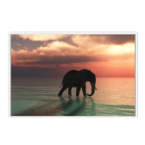Quadro com Fotografia Imagem de Elefante na Água