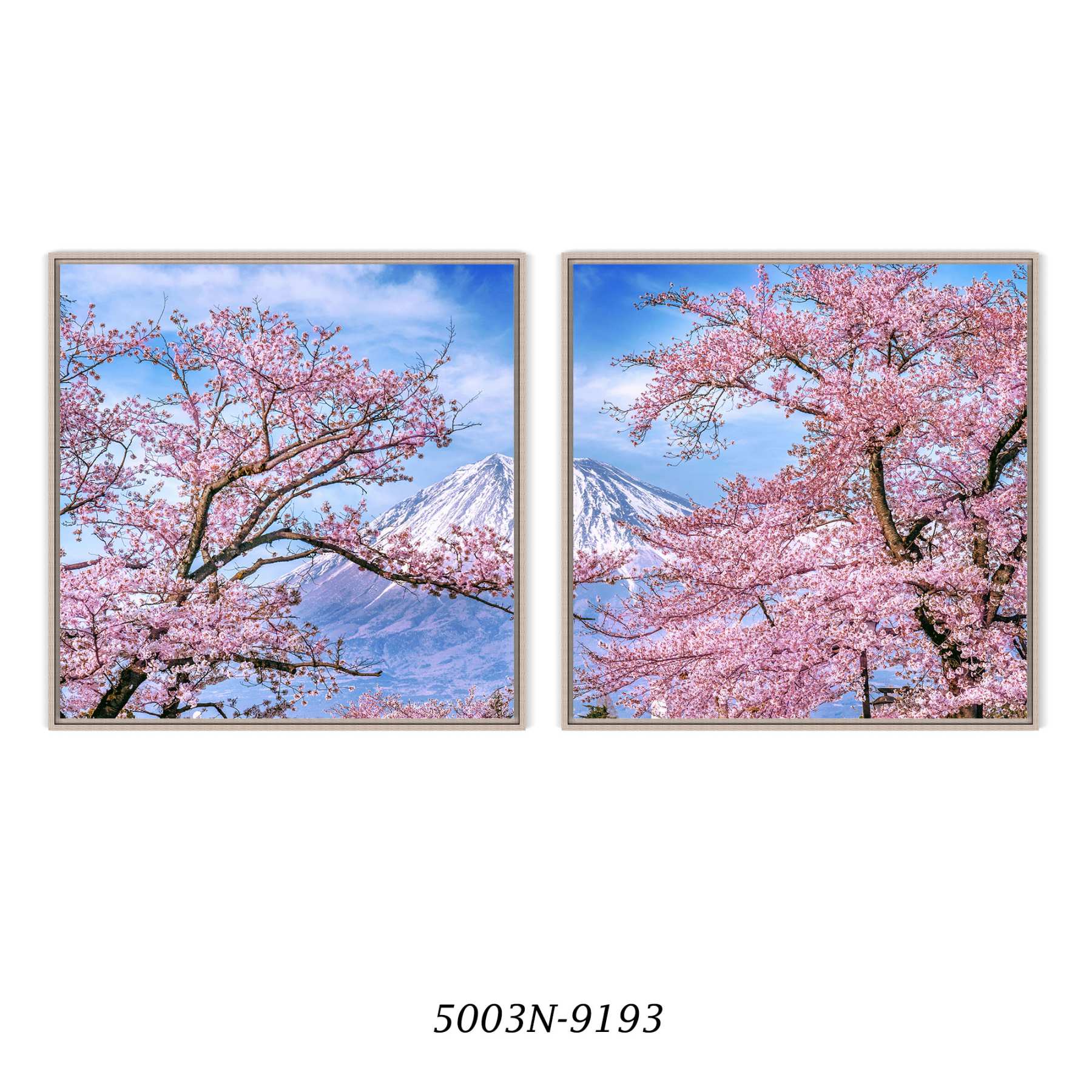 Composição com 2 Quadros Decorativos Flor de Cerejeira e Monte Fuji no Japão