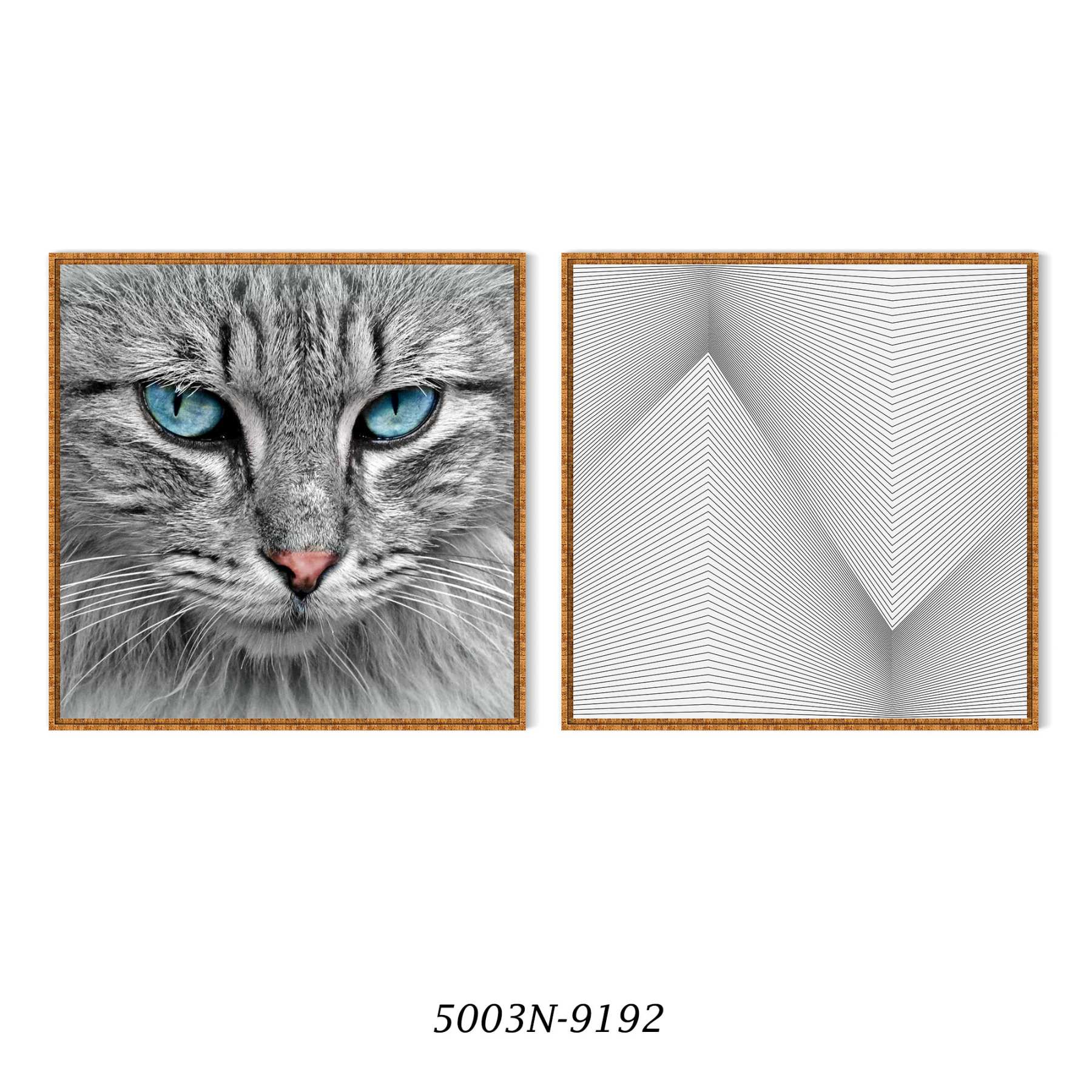 Conjunto com 2 Quadros Decorativos Gato de Olhos Azuis e Geométrico Preto e Branco