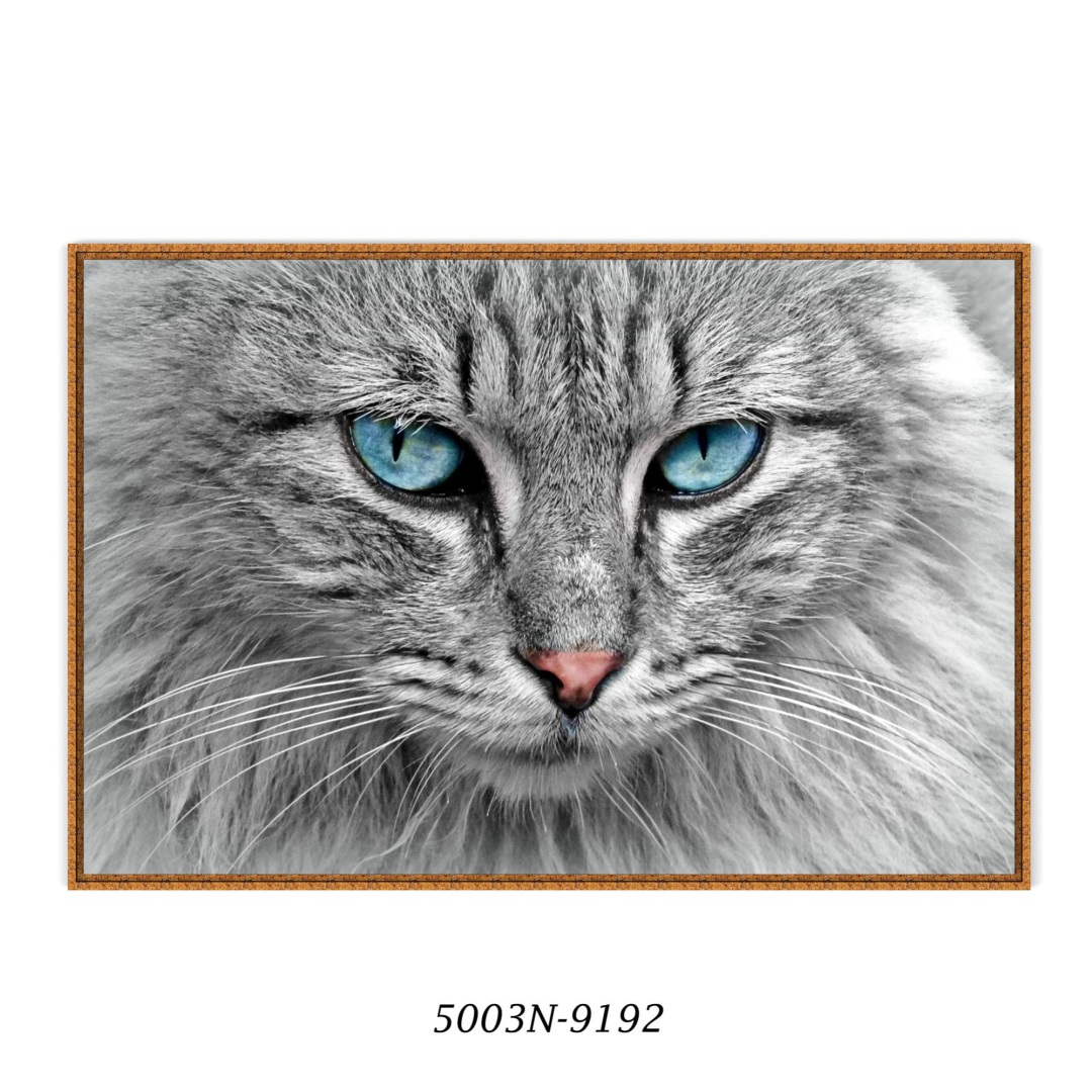 Quadro Decorativo Gato Olho Azul
