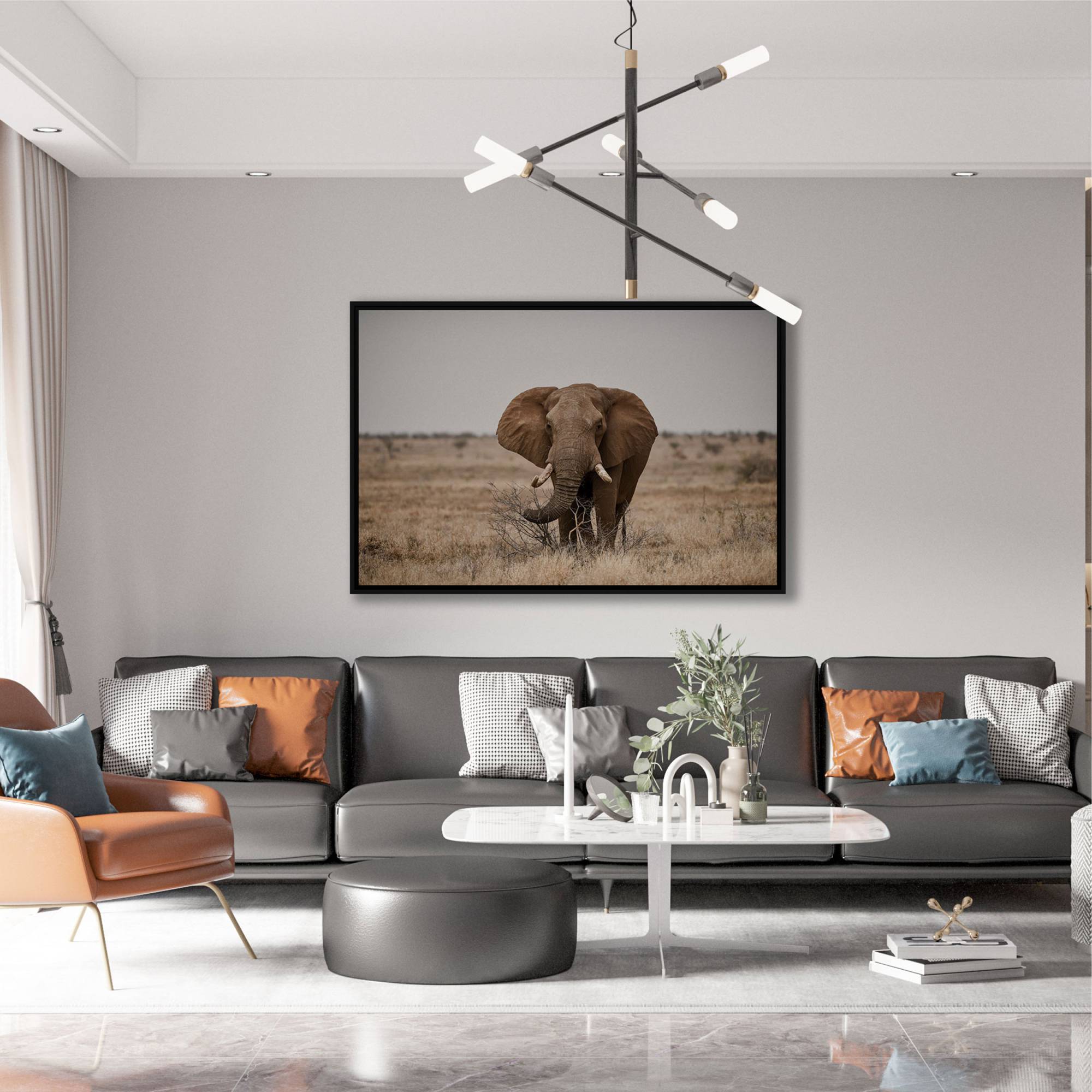 Quadro Decorativo com Fotografia de Elefante
