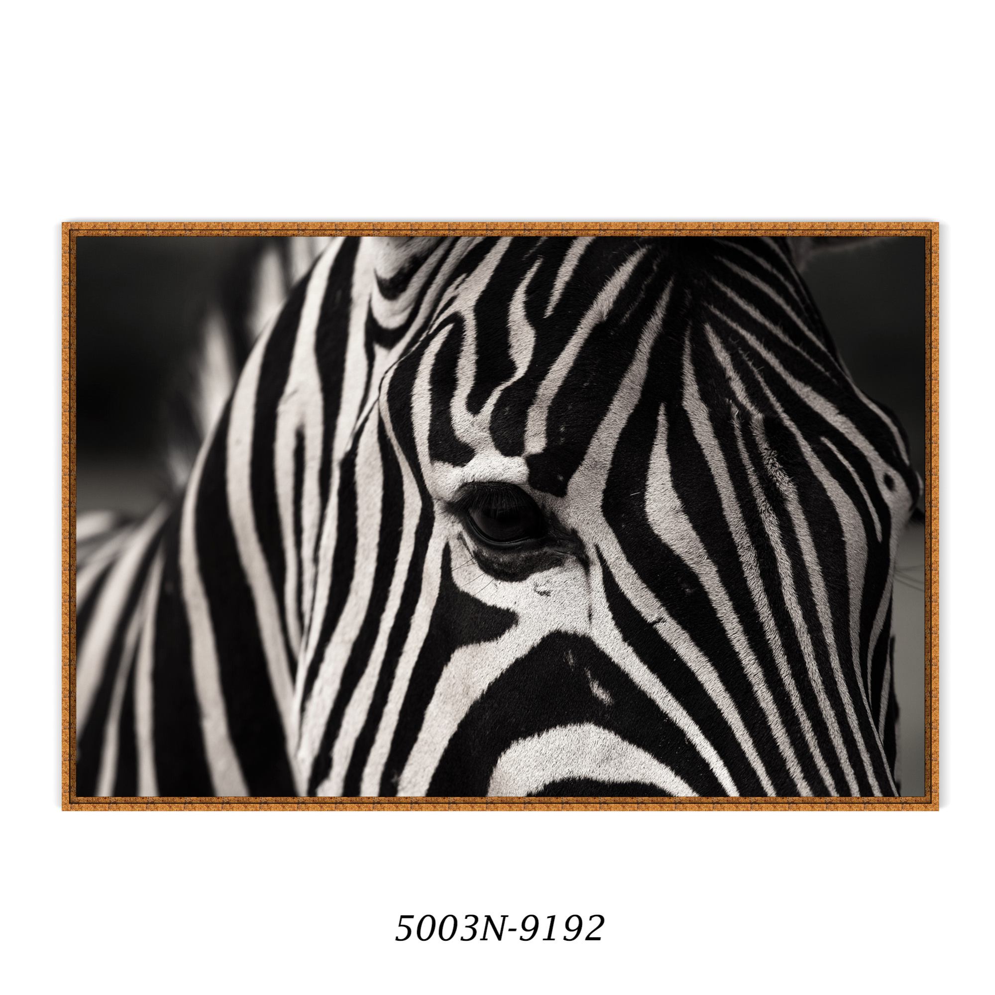 Quadro Decorativo com Fotografia de Zebra