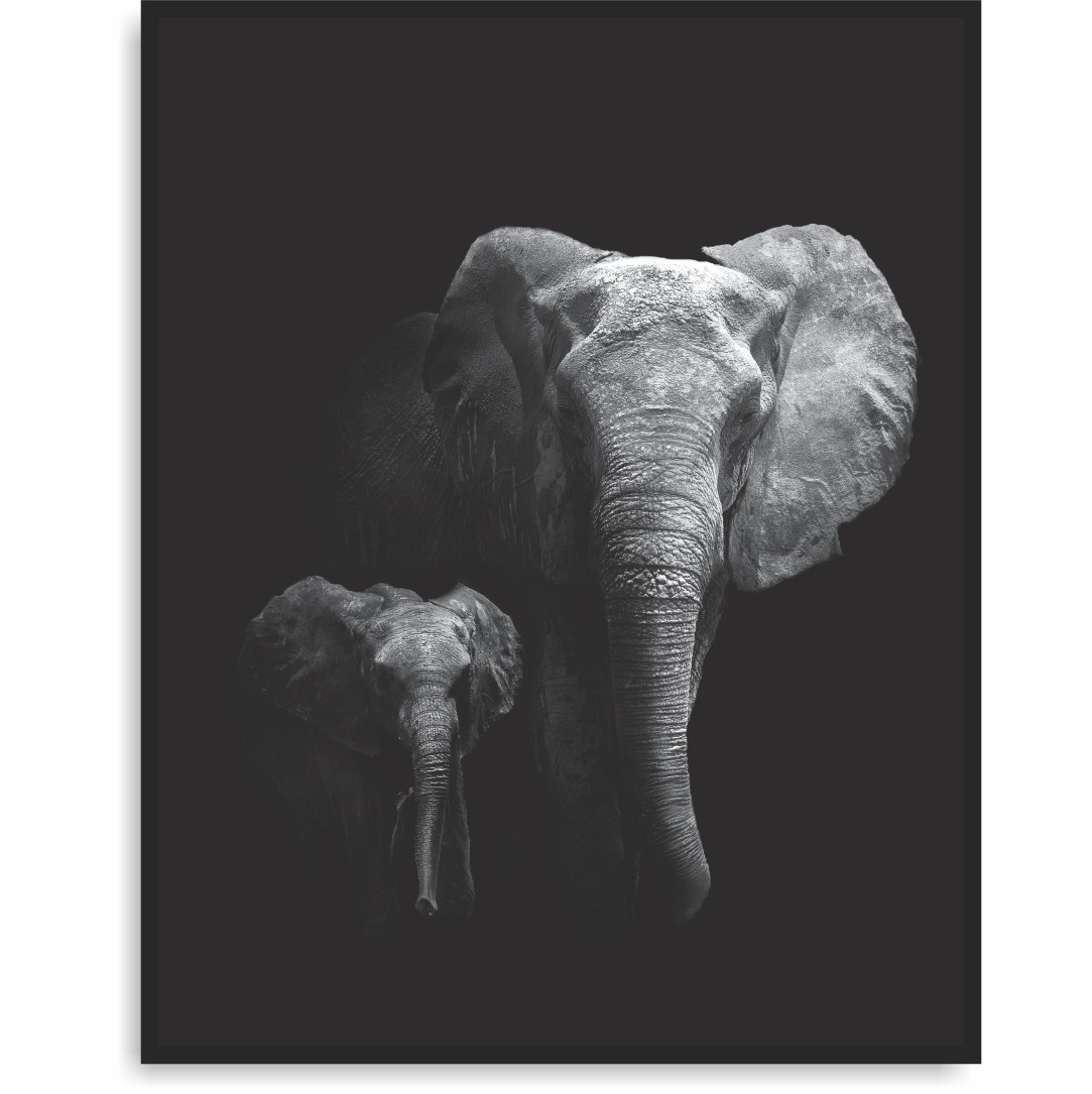 Quadro Decorativo Elefante Preto e Branco