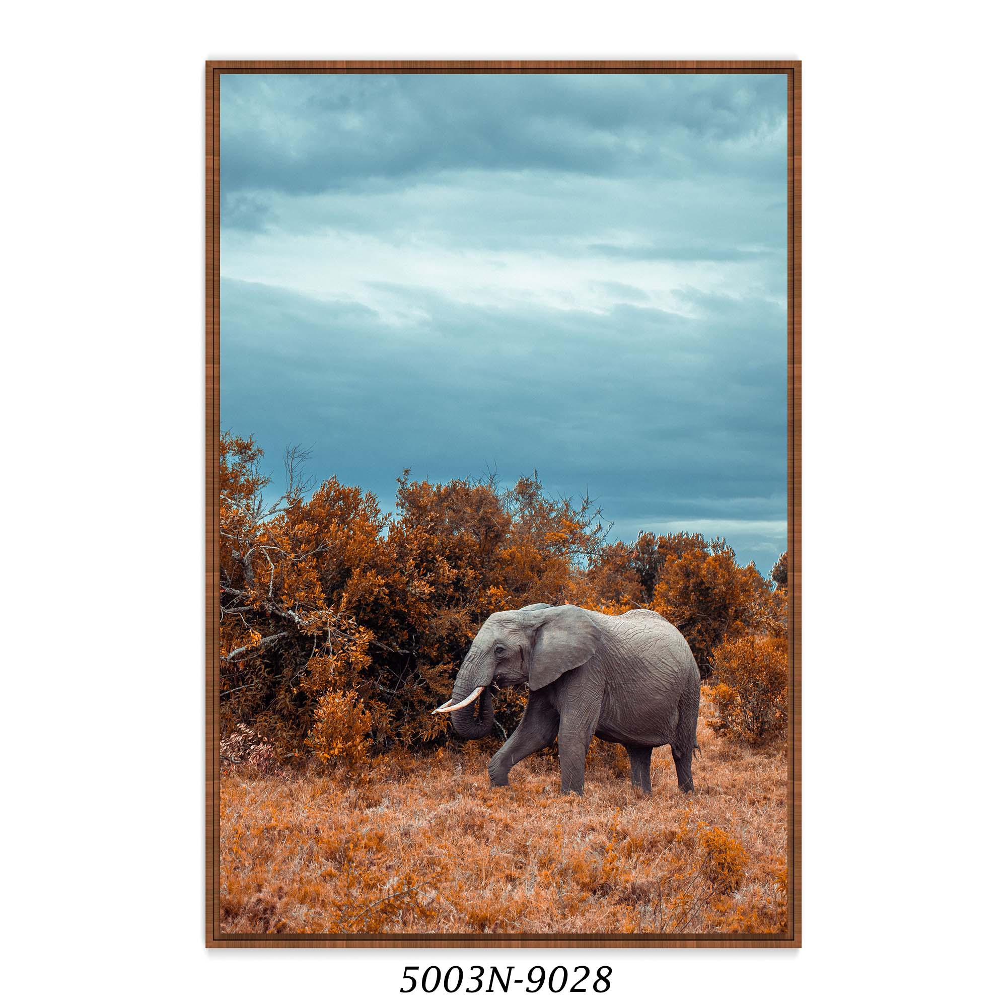 Quadro Decorativo Fotografia de Elefante