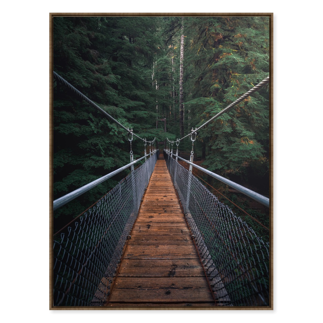 Quadro Decorativo Ponte de Arame na Floresta