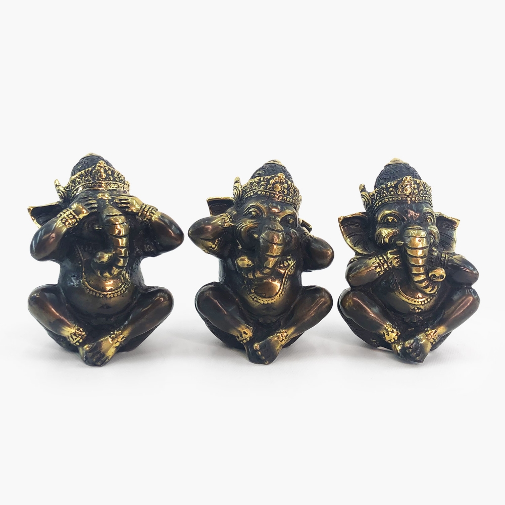 Conjunto Ganesh - Foto 1