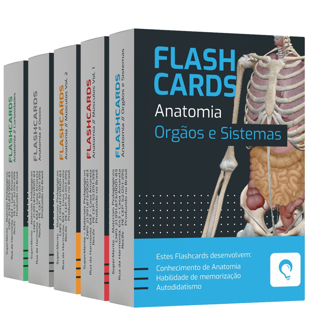 Flashcards Kit Anatomia