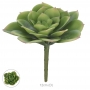 Suculenta Echeveria Verde Artificial  10cm