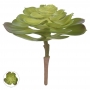 Suculenta Echeveria Verde Artificial  14cm