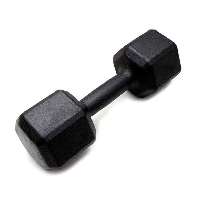 Dumbbell - Halter Sextavado de Ferro Polido 28 kg - Rae Fitness